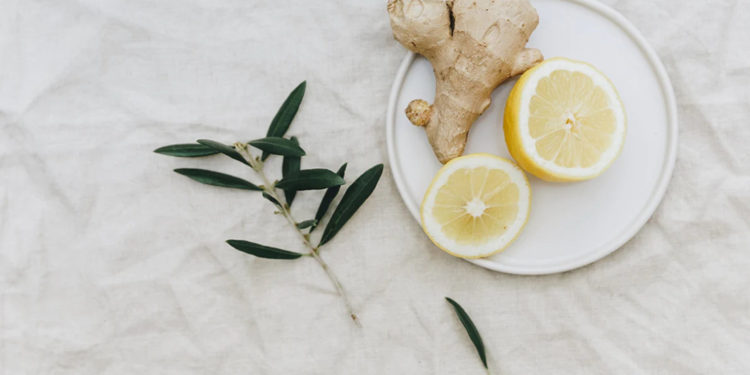 sliced lemons and ginger arranged on a plate, accompanied by olive branches resting on a textured surface