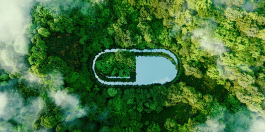a graphic of a tablet overlayed over the canopy of a forest