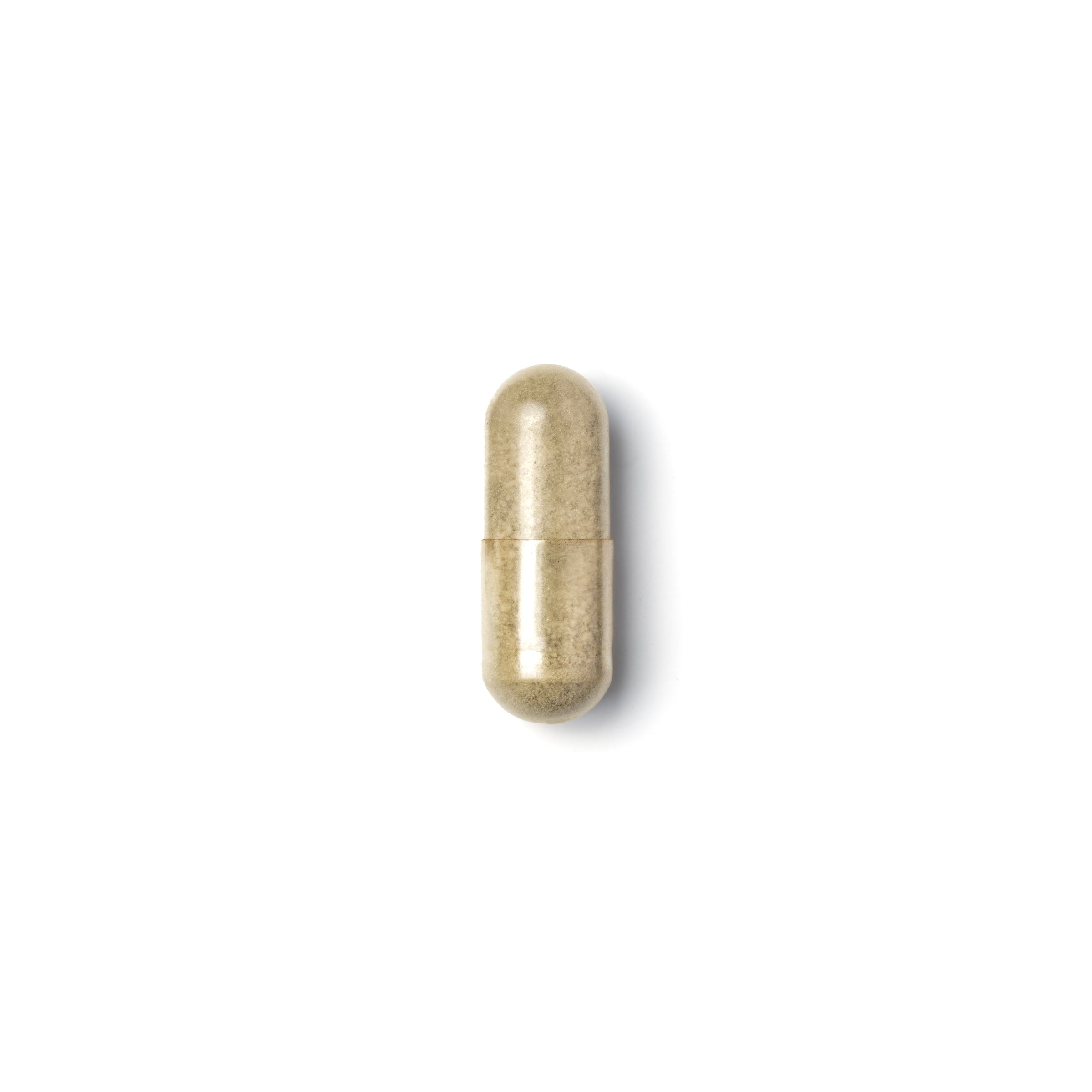 Ethical Nutrients Mega Iron 30 Capsule