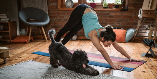 a woman and a dog practicing yoga together