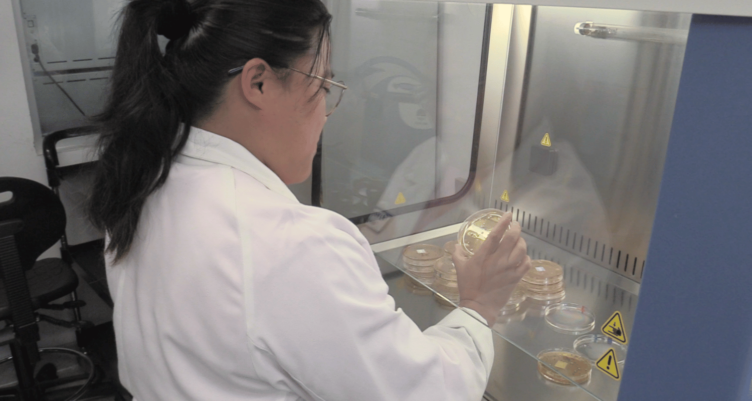 Woman chemist doing tests
